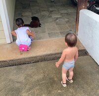 吉川ひなの『雨の日のお散歩』