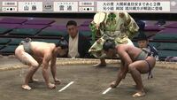 【映像】実際の取組の様子