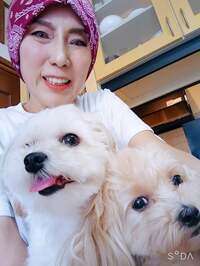 秋野暢子『小夏千夏に逢った❗』