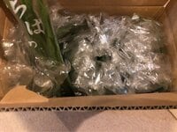 福田萌　夫の相方、オリラジ・藤森からニラ4キロ届き、娘と餃子作り「まいうーでした」