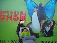 hitomi『日本科学未来館へ』