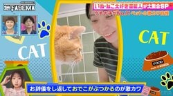 「犬でもやらない！」アンゴラ村長の愛猫の“可愛すぎる行動”に驚きの声