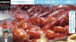 “ザリガニ料理”中国で大ブームのワケは？ 現地記者「若者が剥きながらビールを飲むスタイルが定着」
