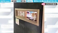 かわいすぎる！美術館で受付スタッフをしている猫に「素晴らしいアプローチ」「これはいい仕事」と絶賛の声