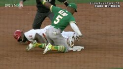 「へへ、あぶなかったぜ！」人気者レンヒーフォが“左足1本”残し盗塁成功　コメント欄も「行きすぎたw」「ヒーホー頑張った」「チョコチョコ走りかわいい」