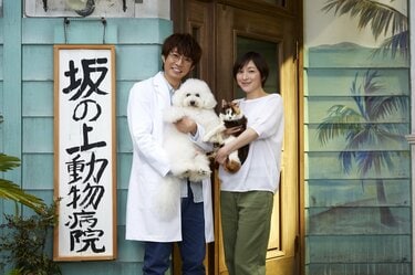 相葉雅紀主演ドラマ『僕とシッポと神楽坂』 ヒロインに広末涼子が決定