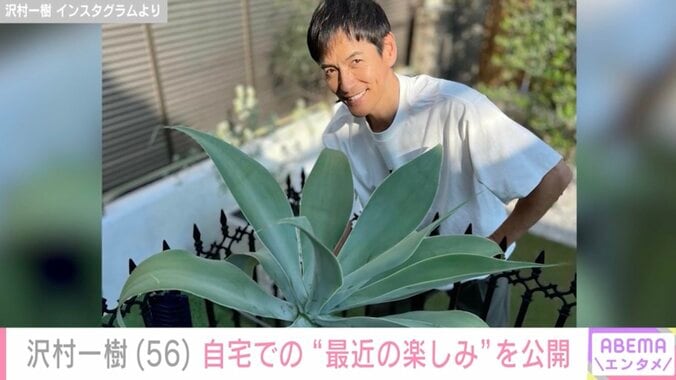 【写真・画像】沢村一樹(56) 自宅での“最近の楽しみ”を公開「 めっちゃステキな趣味ですね」　1枚目