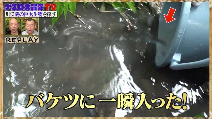 井上咲楽、無人島の川で巨大オオウナギと遭遇！ カメラマンに体当たりするハプニングも？ 2枚目