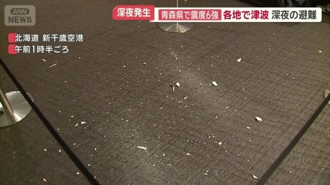 天井が剥がれ落ちている