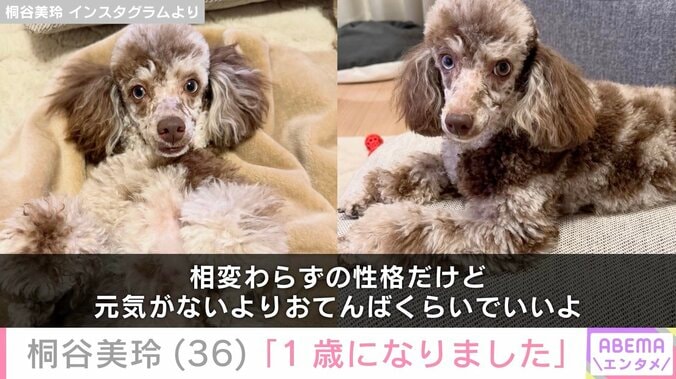 桐谷美玲 Instagramより