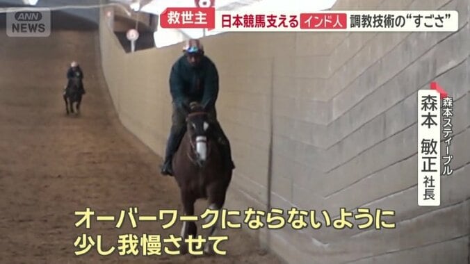 調教が馬の調子を左右