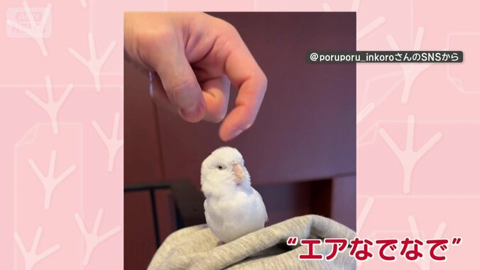 “エアなでなで”されると…