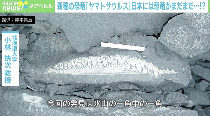 「恐竜研究者を目指す子どもたちへ」日本は“恐竜”が眠る国？ 淡路島で新種の化石を発見 3枚目