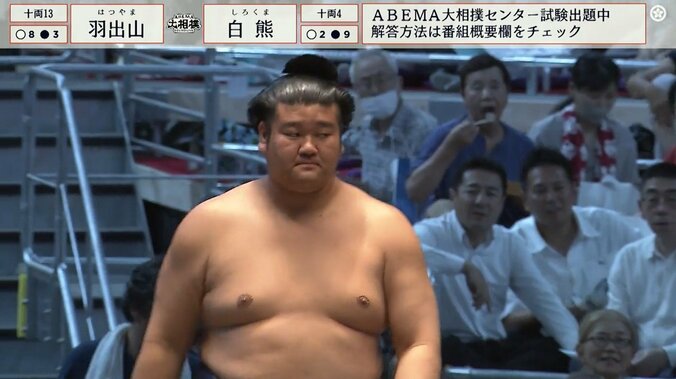 十両十三枚目・羽出山