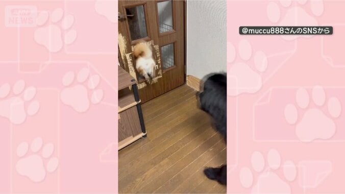 よし！行くぞー
