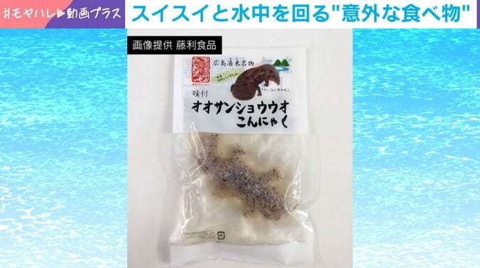 オオサンショウウオの形をしたこんにゃく