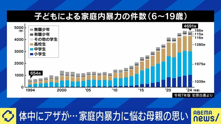 家庭内暴力の件数