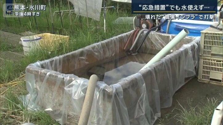 井戸水