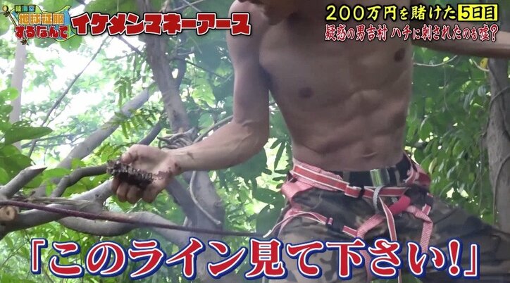 『仮面ライダー』出演のイケメン俳優、訴訟を検討していた「蜂に3カ所も刺されて…」