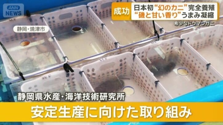 安定生産に向けた取り組み