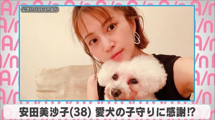 安田美沙子 愛犬の子守に感謝 泣いていると駆けつけてくれる ほのぼのとした日常を公開 芸能 Abema Times