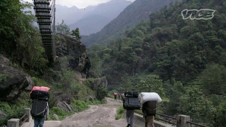 「快楽のためじゃない」幻覚誘うネパールの蜂蜜、過酷な採取現場に密着