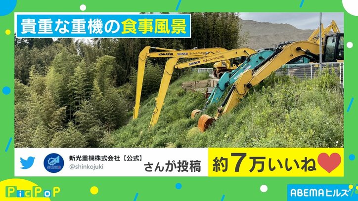 「草食だったんだ…」重機の貴重な“食事風景”に反響相次ぐ