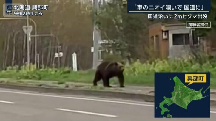 クマ