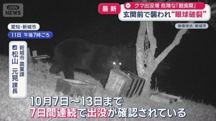 7日間連続で出没