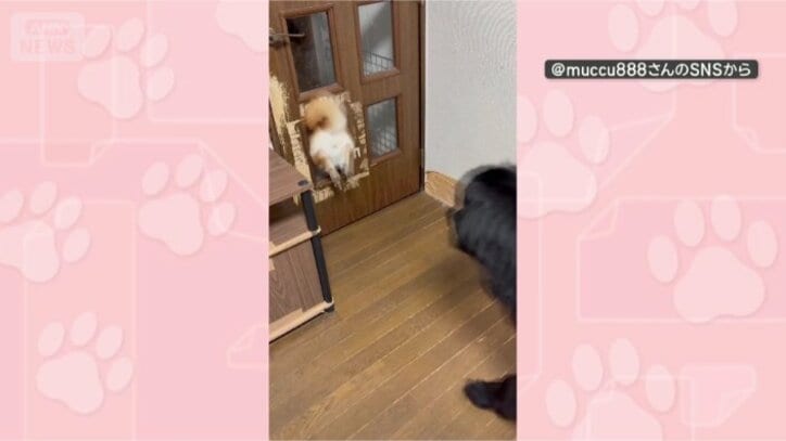 よし！行くぞー