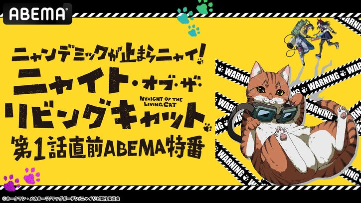 [Photos/Images] Special Program for "Nyaight of the Living Cat" Set for Live Broadcast! Featuring Masaaki Mizunaka, Reina Ueda, and Reiji Kawashima 1st
