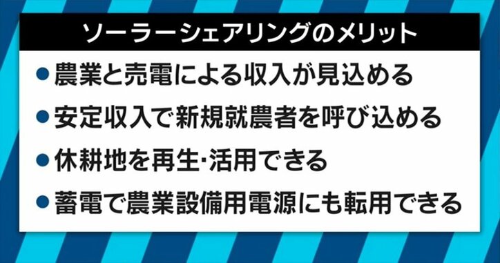 ３人の元総理大臣も集結！儲かるのになぜ？農家のソーラーシェアリングが進まない理由