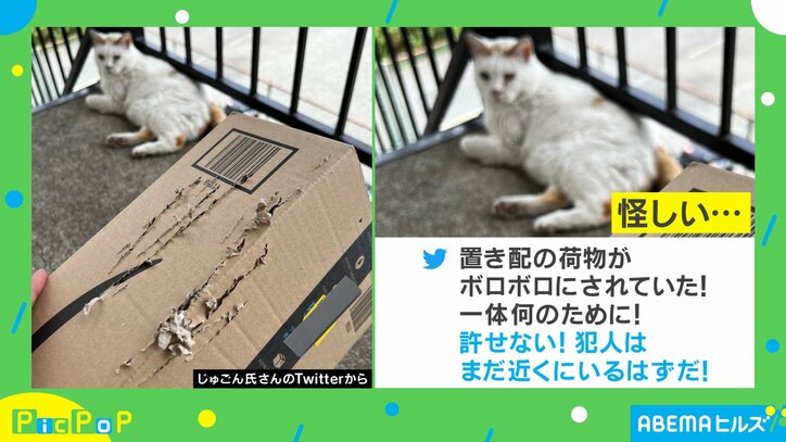 「置き配の荷物がボロボロに!」かわいらしい動物の犯行に「満足そうw」「目を合わせないようにしている」とほっこり