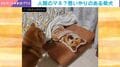 毛布を前にボーッとしている柴犬→飼い主の一言に“驚きの神対応”「優しい子だ」「面倒見が良い」と反響