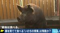 「30年が経つが、あの時の結論には今でも揺れている」豚の飼育を通じて命の尊さを学ぶ授業、教師の苦悩とは