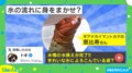 水換え後の水槽で“ぷかぷか”浮かぶギアナカイマントカゲ 新鮮な水を喜ぶような微笑ましい仕草に「気持ちよさそう…」「身を任せてる感じがする」と反響