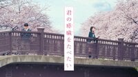 矢本悠馬“ガム君”役で出演『君の膵臓をたべたい』