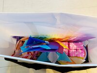 くわばたりえ『☆☆バタる☆484日目☆成長☆☆』