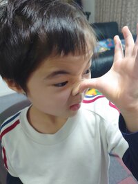 山田花子『ママ似を嫌がる次男』