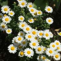 大橋未歩『手の感覚がない』