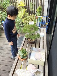 市川海老蔵『向かってます』