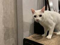 坂上忍『生配信終わったで~』