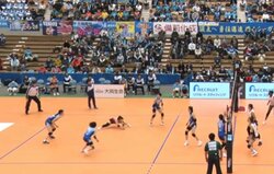 女子バレー、衝撃の開脚レシーブにファン騒然 リベロが見せた粘りのプレーに脚光