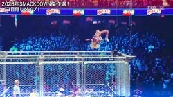 「足痛めそうで怖い」米最強女子レスラーが金網上から決死のムーンサルト敢行　命懸けの飛び技に場内どよめき