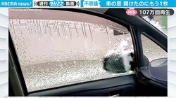 車の窓、開けたはずなのにもう１枚？ 北国の冬が生んだ“神秘の2重構造”に反響