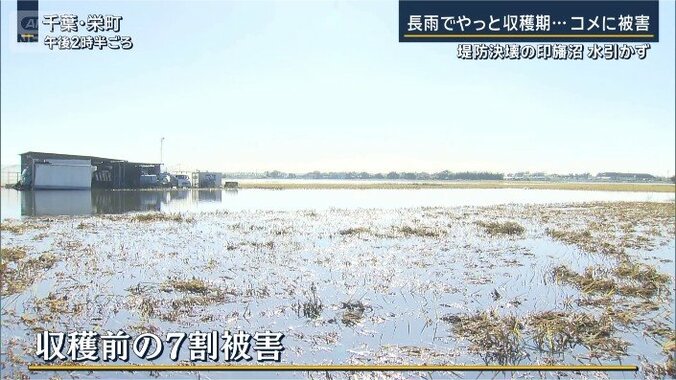 田んぼ被害