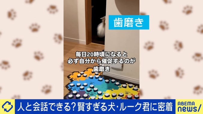 ルークくんが“眠くなると押す”ボタンとは？