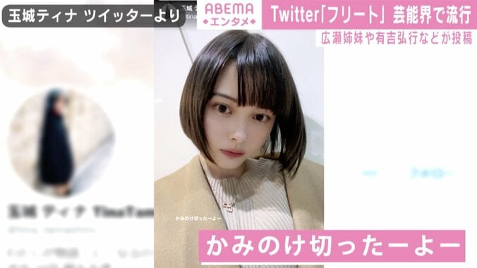 Twitter新機能「フリート」芸能界で流行！広瀬姉妹、有吉弘行などが投稿 3枚目