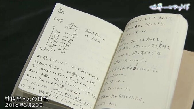 ひと息でどこまで潜れるかを追い求めた30年 不慮の事故で亡くなったフリーダイビング選手 6枚目