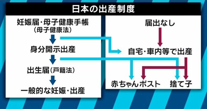 日本は赤ちゃんを捨てる国？慈恵病院の「内密出産」で浮き彫りになる“望まない妊娠・出産”の実態 8枚目